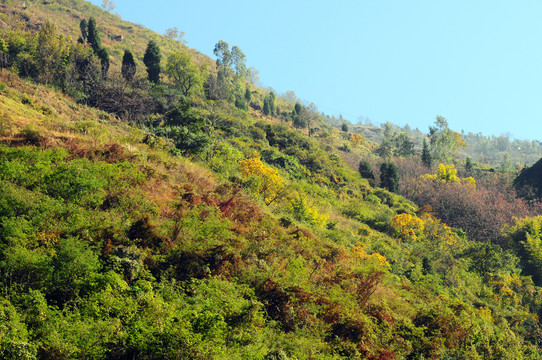 高山風(fēng)景