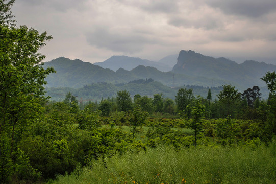 青城山風(fēng)光