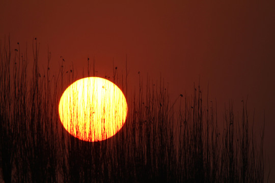 夕陽
