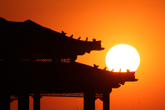 夕陽紅