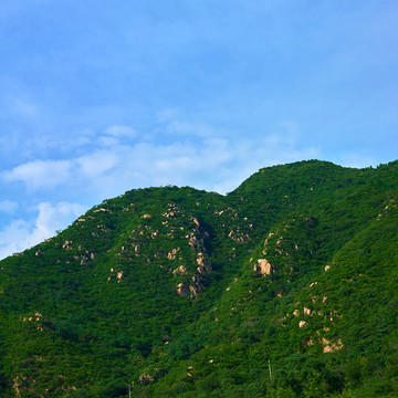 山