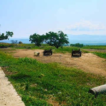田地