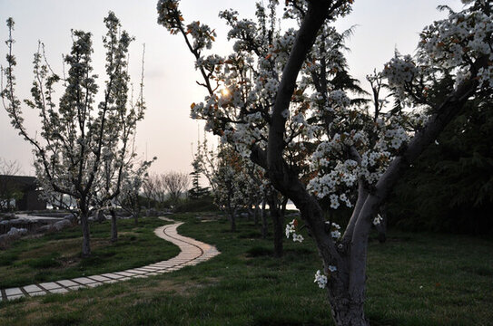 公園一腳