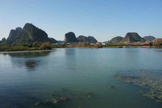 濕地