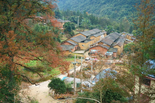 山村紅葉