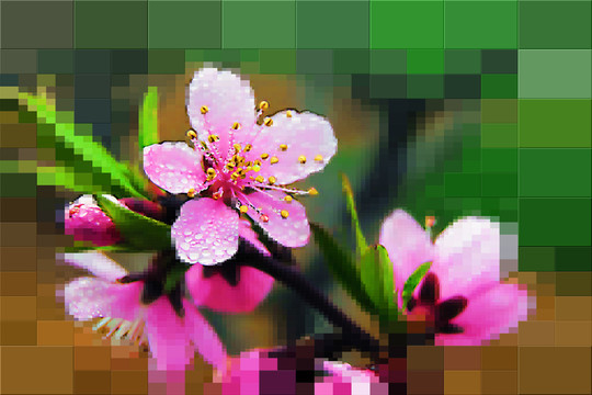桃花裝飾畫