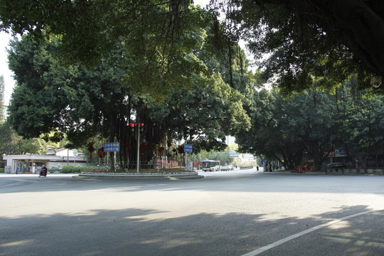 福州街道綠化