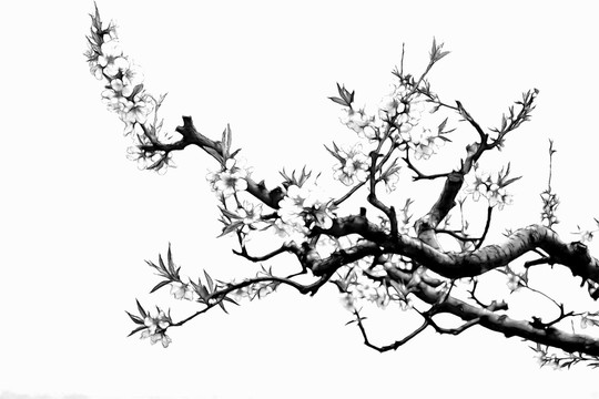 桃花枝 裝飾畫