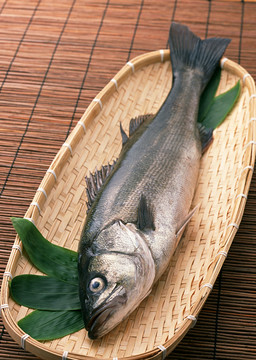 海魚