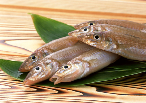 秋刀魚