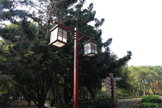 路燈