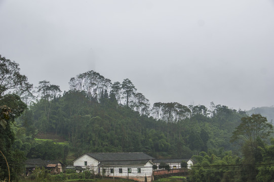龍華