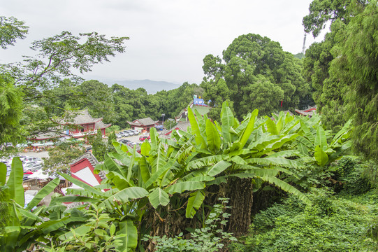七曲山大廟