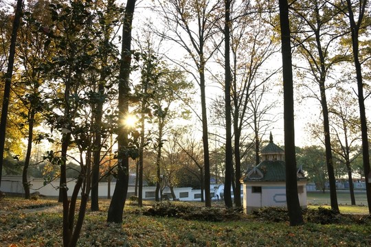 磨山風(fēng)景