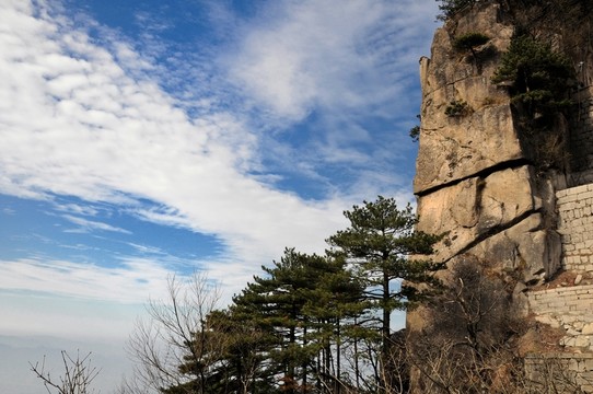 九華山風(fēng)光 九華山云海