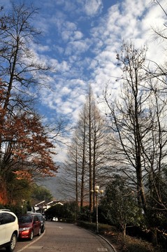九華山風(fēng)光 九華街景區(qū)