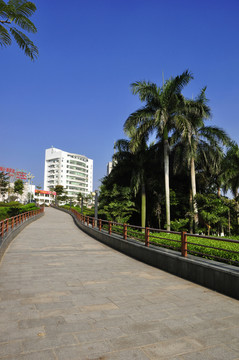斜坡道路