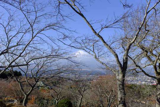 富士山