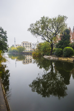 校園風(fēng)光