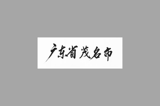廣東省茂名市