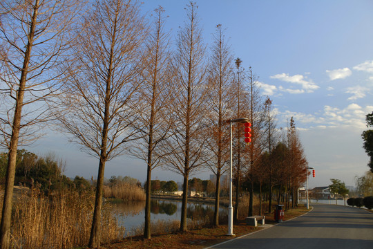 園林景觀 公園小路