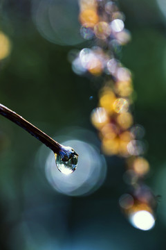綠色水滴
