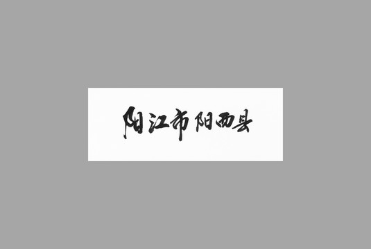 陽江市陽西縣