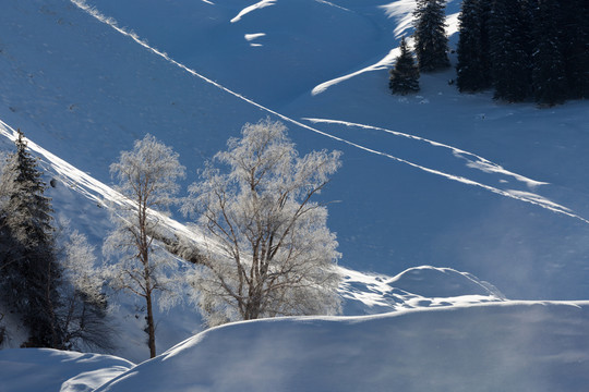雪景