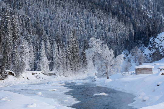 雪景