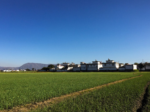 田園風(fēng)光 白族建筑