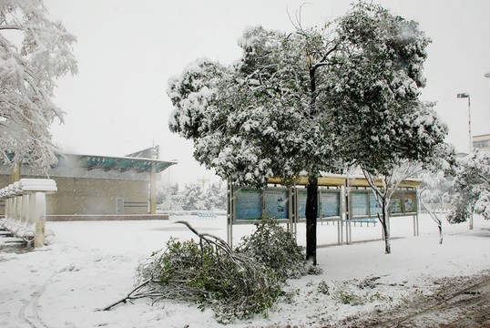 雪景