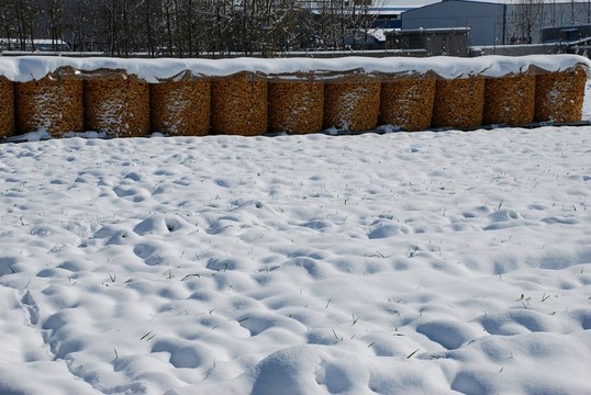 瑞雪兆豐年