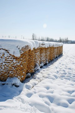 瑞雪兆豐年