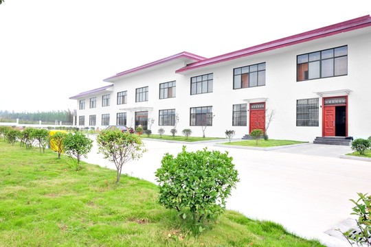 廠房 辦公樓