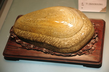大化石