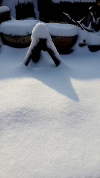 雪