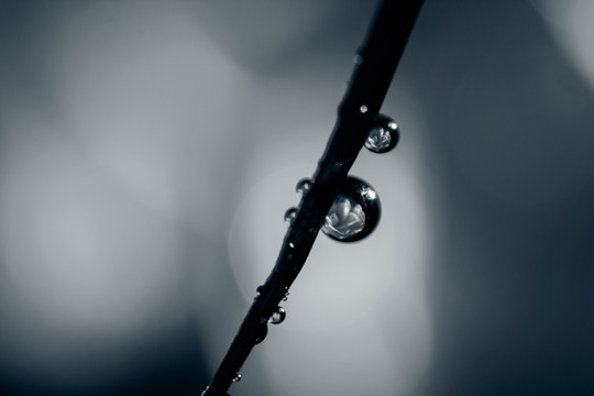 夢幻水珠
