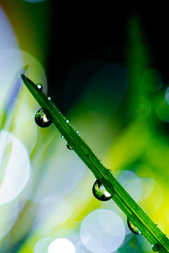夢幻水珠