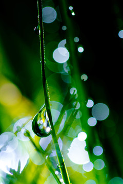 夢幻水珠