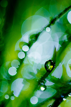 夢(mèng)幻水珠