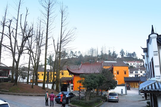 宗教建筑 九華山風(fēng)光