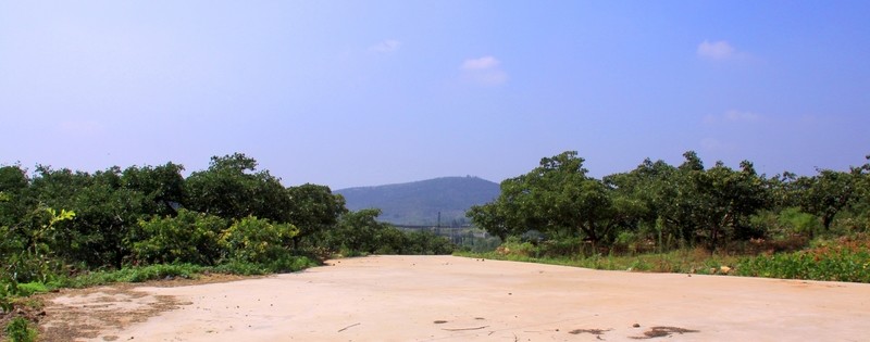 果園  田地