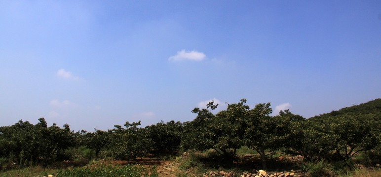 藍(lán)天白云