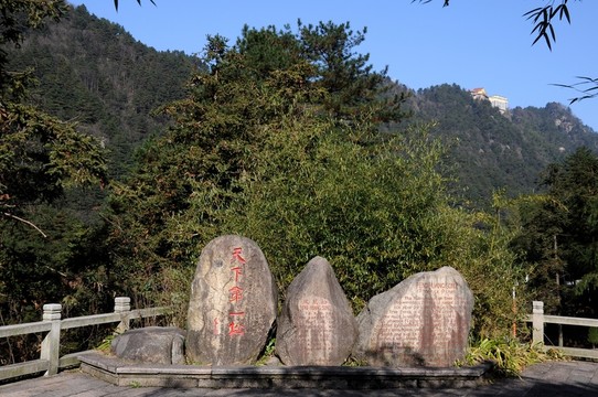 九華山風(fēng)光 鳳凰松