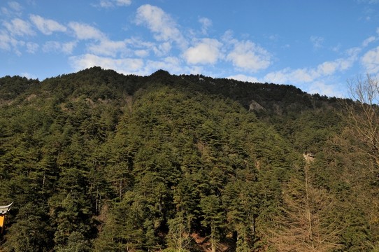 九華山風(fēng)光 青山