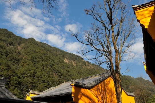 九華山風(fēng)光 宗教建筑