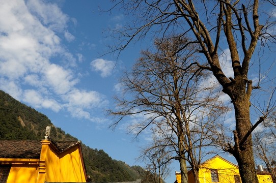九華山風(fēng)光 宗教建筑