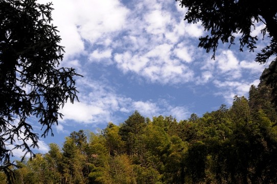 九華山風光 云海