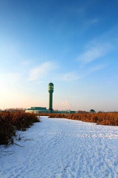 濕地 蘆葦 雪 觀光塔