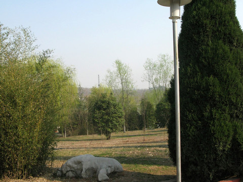 公園風(fēng)景 春天公園